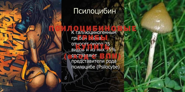 гашик Алзамай