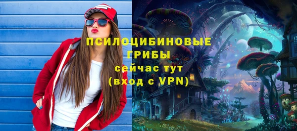 гашик Алзамай