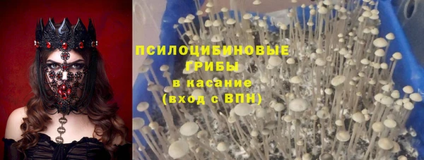 гашик Алзамай
