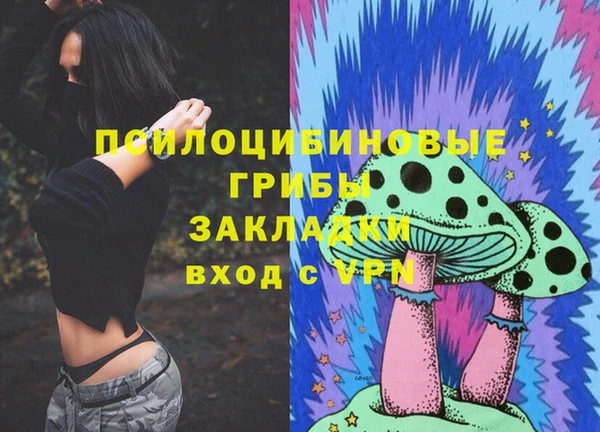 гашик Алзамай