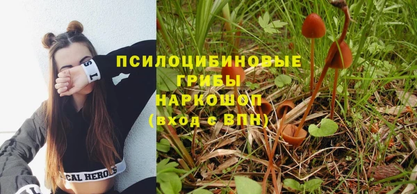 а пвп мука Алексеевка