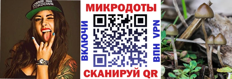 Псилоцибиновые грибы мухоморы  omg онион  Тайшет 