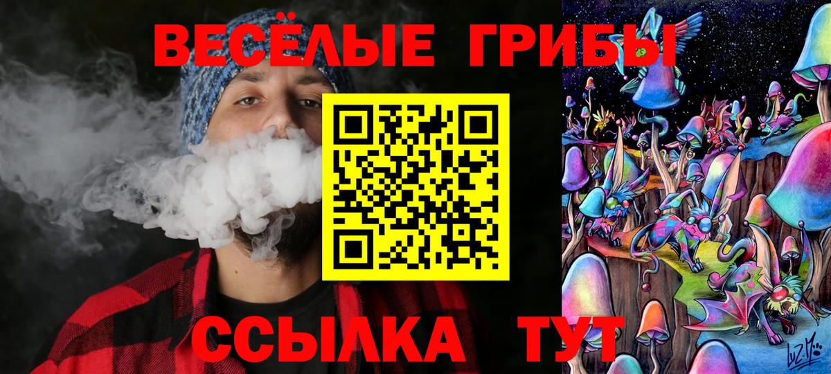 Псилоцибиновые грибы Cubensis  Вход с VPN  Галлюциногенные грибы Cubensis  Тайшет 