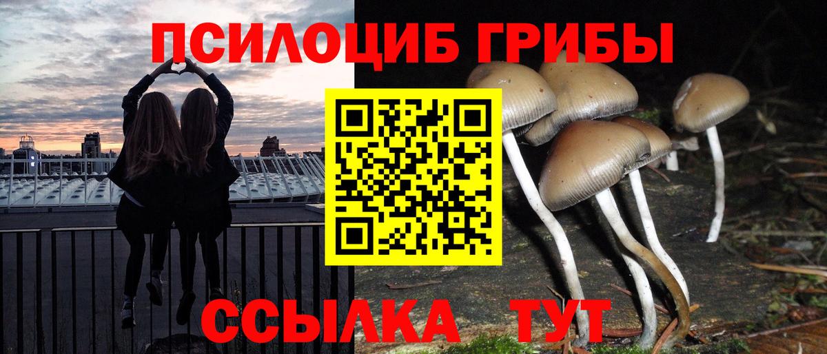 Псилоцибиновые грибы Psilocybine cubensis Тайшет